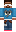 skin of a player