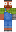 skin of a player