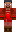 skin of a player