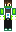skin of a player