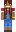 skin of a player