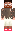 skin of a player