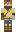 skin of a player