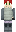 skin of a player