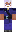 skin of a player