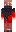 skin of a player