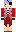 skin of a player