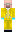 skin of a player