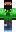 skin of a player