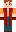 skin of a player