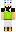 skin of a player