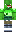 skin of a player