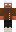 skin of a player