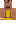skin of a player