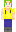 skin of a player