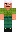 skin of a player