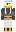 skin of a player