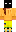 skin of a player