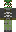 skin of a player