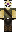 skin of a player
