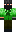 skin of a player