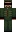 skin of a player