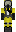 skin of a player