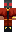 skin of a player