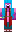 skin of a player