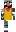 skin of a player