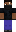 skin of a player