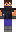 skin of a player