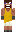 skin of a player