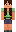 skin of a player