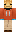 skin of a player