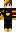 skin of a player