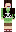 skin of a player