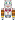 skin of a player