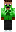 skin of a player