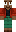 skin of a player