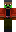 skin of a player