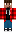 skin of a player