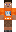 skin of a player