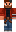skin of a player