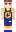 skin of a player