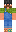 skin of a player