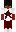skin of a player