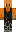 skin of a player
