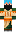 skin of a player