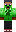 skin of a player